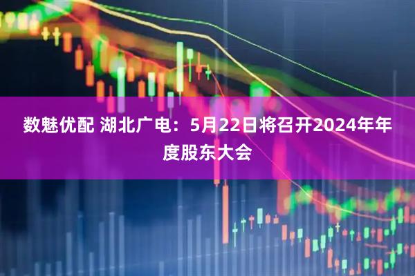 数魅优配 湖北广电：5月22日将召开2024年年度股东大会