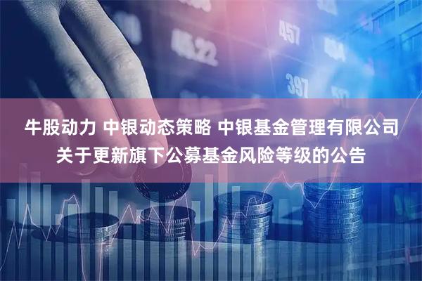 牛股动力 中银动态策略 中银基金管理有限公司关于更新旗下公募基金风险等级的公告